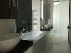 Orange Grove Residences (D10), Condominium #58807282